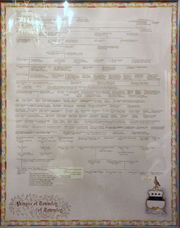  pedigree chart in Towneley Room